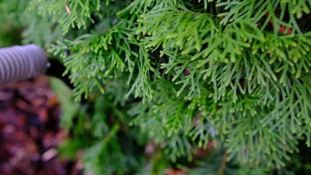 Как сделать илосос пруда своими руками смотреть онлайн