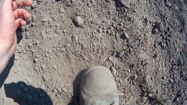Овраг в радость, поле в сладость! смотреть онлайн