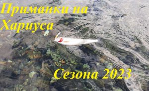 Хариус. Тот 5 приманок в 2023 году