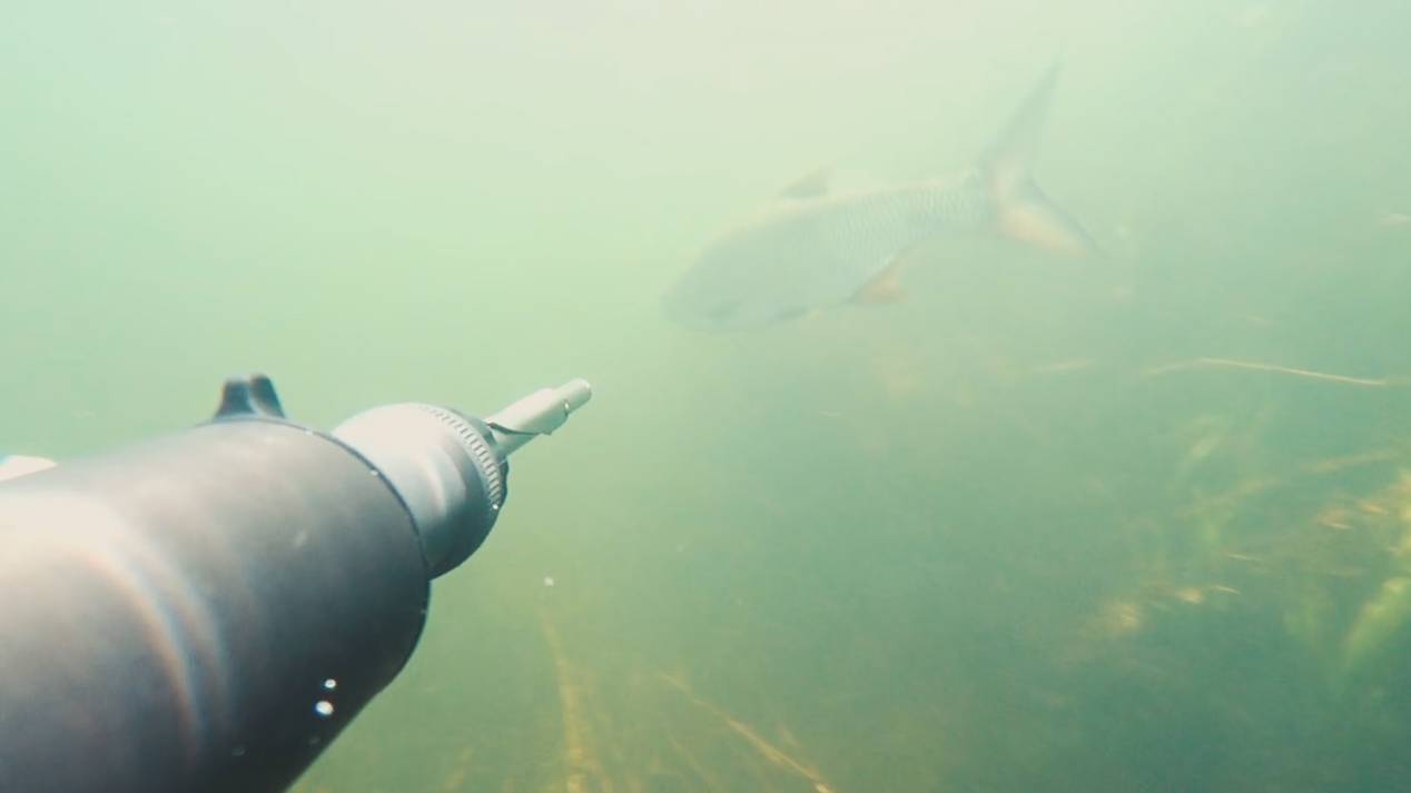 Подводная охота на малых реках в Рязанской области! смотреть онлайн