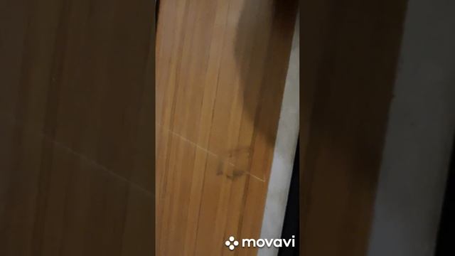 ?голубое купе!модернизированные лифты КМЗ-1989 рыбацкий проспект 55 смотреть онлайн