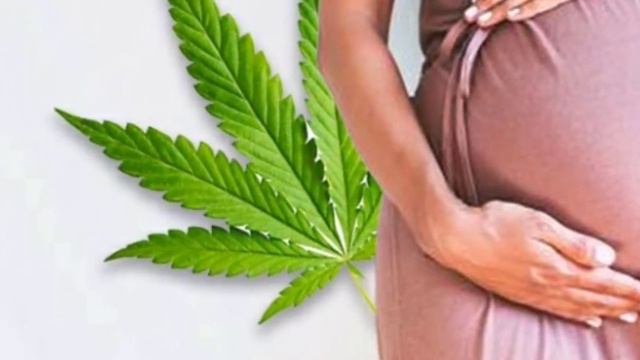 Toksikoz nima? смотреть онлайн