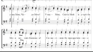 🎼 "Приидите ублажим Иосифа" в изложении схииг. Стефана (сопрано) Стихира на целовании Плащаницы