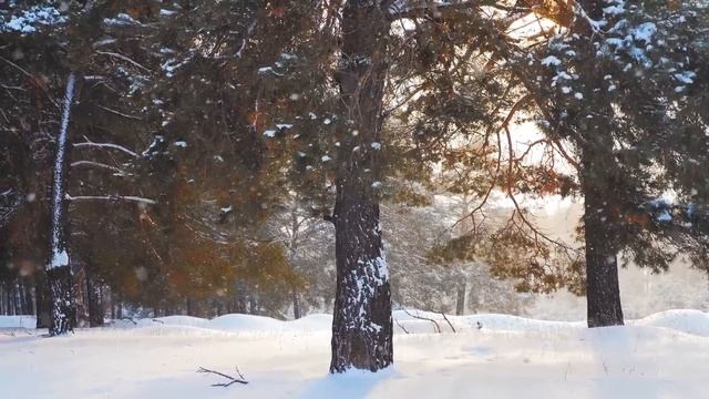 Лечебная музыка для сердца и сосудов! До слез красивая мелодия! Зимняя соната! Падал снегснег смотреть онлайн