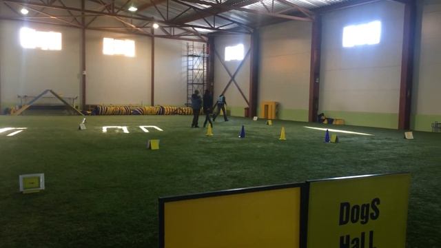 Эмма, ралли обидиенс 24.02.18. Первый блин:) смотреть онлайн