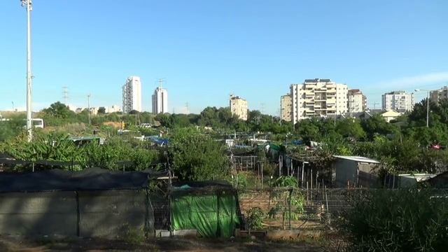 Ностальгия по ДАЧАМ в Израиле? Огородик в аренду. смотреть онлайн