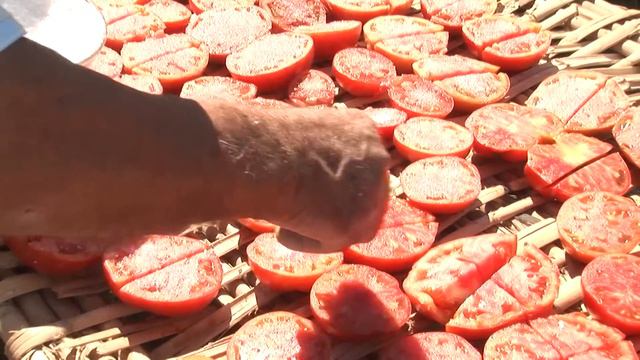 Los TOMATES SECOS. Secado en cañizos y sazonado para su CONSERVACIÓN y consumo en invierno смотреть онлайн