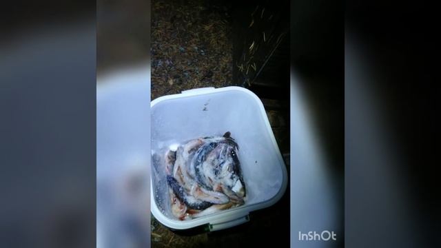 Карелия, сентябрь 2019. смотреть онлайн