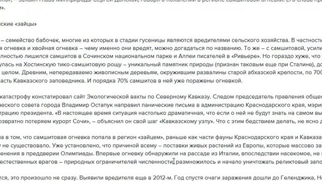 привезенная в растениях для олимпиады БАБОЧКА-огневка жрет ПАЛЬМЫ и самшит в Сочи 2020 что творится смотреть онлайн