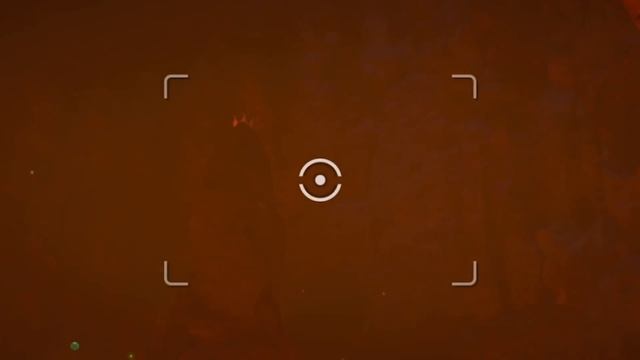 New Pokemon Snap Start to Finish смотреть онлайн