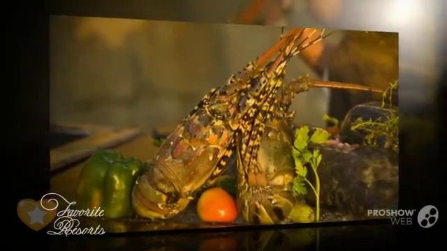 La Veranda Resort Phu Quoc - MGallery Collection - Vietnam Duong Dong смотреть онлайн