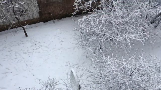 21.01.2018 Брест зима. смотреть онлайн