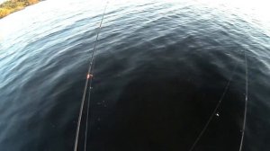Рыбалка летом на мормышку Мормышинг  Клюет вся рыба