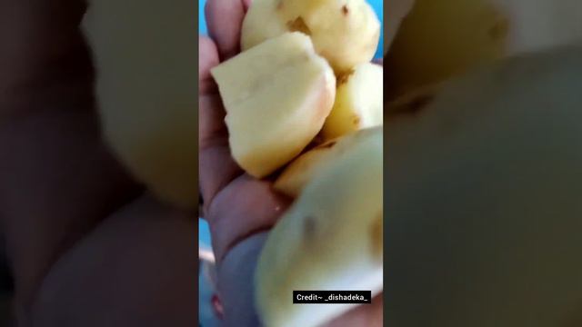 Chicken Biryani 😚 (atrangi recipe 😁😍)| YouTube Short| DISHADEKA