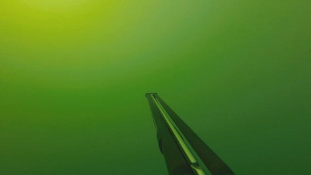 Подводная охота 