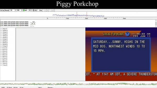 EAS Severe Thunderstorm Warning Red Wing, Minnesota NOAA Weather Radio