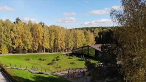 Ливан - как угробить богатую страну за три года и сделать людей нищими