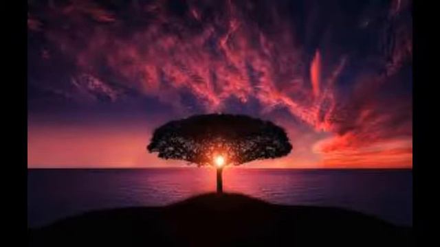 Bhai Fazle Kareem Rah. Ahmedabad Wale - Original Bayan 