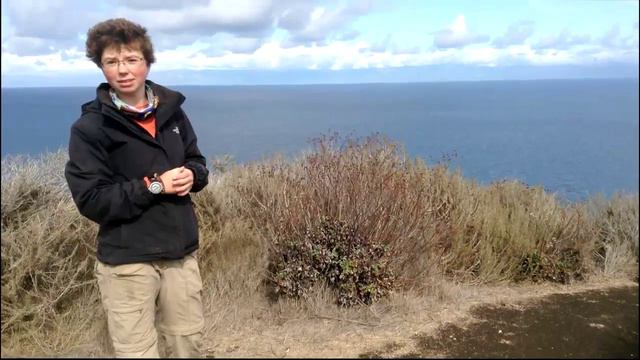 Windward v.s. Leeward Side of a Mountain смотреть онлайн