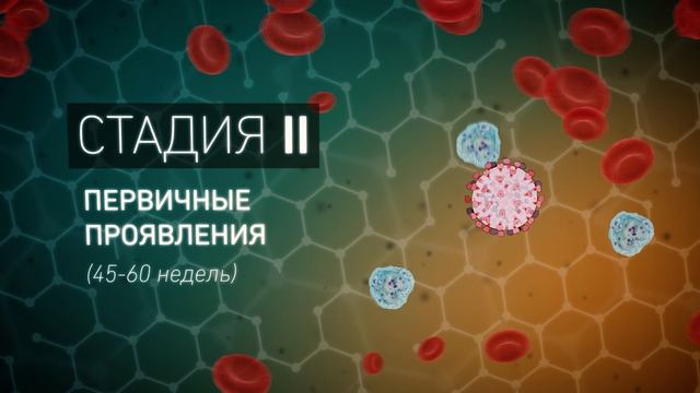 СПИД Выпуск 2.mp4