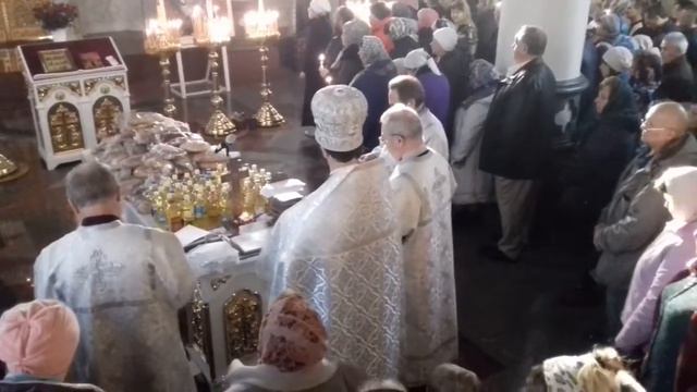 03.11.2018 Димитриевская родительская суббота. Видеообзор смотреть онлайн