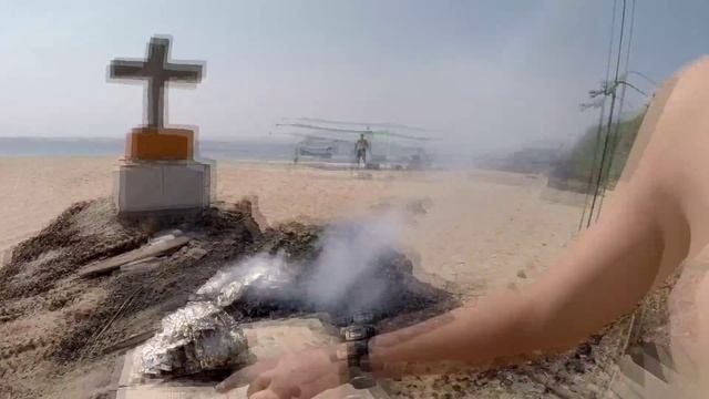 ГОА. СТРАШНЫЙ ДАЙВИНГ С ДЕЛЬФИНАМИ В ГОА. смотреть онлайн