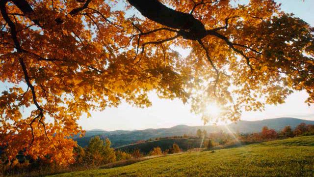 Danny (Dawit )Wolde "Lene Yihe Kibir neew" Mezmur смотреть онлайн