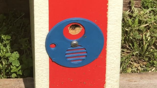 Пасека, Мёд, пчелы, улей, Матка, трутни, рабочие пчелы, Расплодник, Вывод матки, Большая пасека. смотреть онлайн