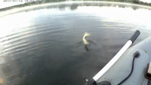 Рыбалка на озере в Алтайском крае.Ловим щуку