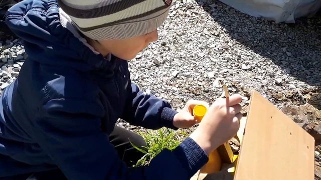 Домик для белок смотреть онлайн