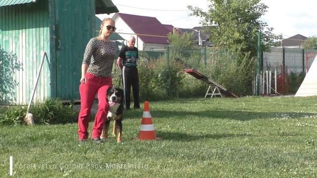 Graf BH/VT 2018 смотреть онлайн