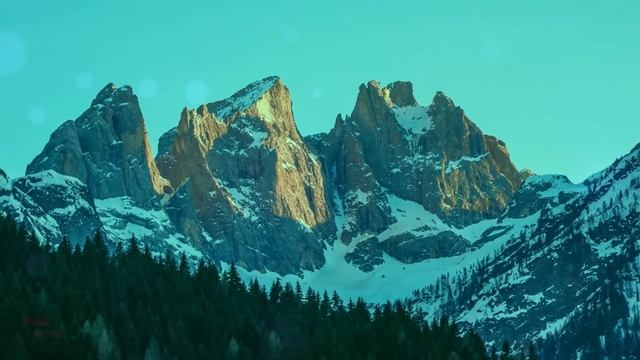 "Вот тебе жених!" Миллионер привел бомжа на свадьбу дочери, реакция невесты шокировала смотреть онлайн