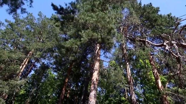 Чертов палец, Поляна Колдунов, водопад Девичьи слезы. Самарская область смотреть онлайн