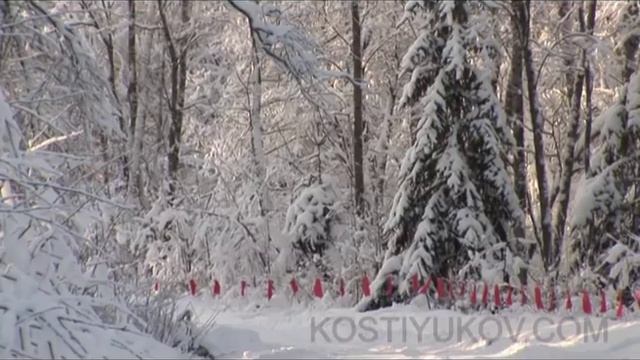 Охота с флажками на волка смотреть онлайн