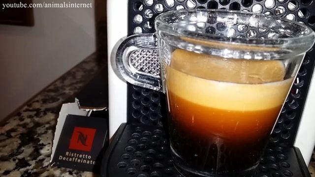Nespresso Ristretto Decaffeinato gourmet coffee capsules on Krups (& Delonghi) Inissia machine смотреть онлайн