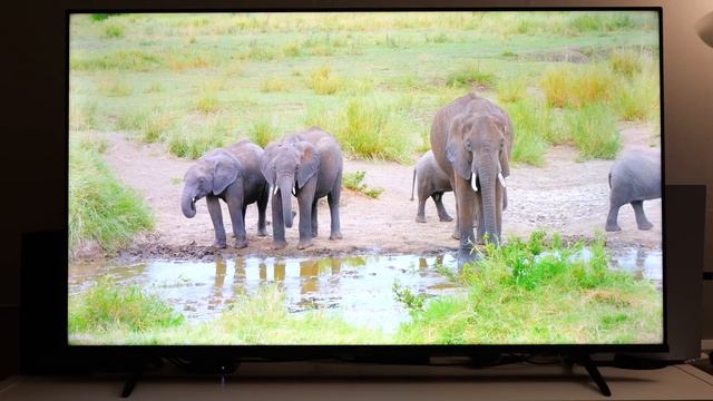 HISENSE 55E7H QLED: ОТЛИЧНЫЙ ТЕЛЕВИЗОР ПО АДЕКВАТНОЙ ЦЕНЕ смотреть онлайн