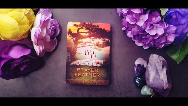 Native Spirit Oracle Cards by Denise Linn смотреть онлайн