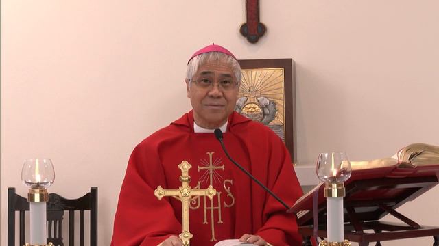 Catholic Weekday Mass Today Online - Monday, Solemnity of Saints Peter and Paul, Apostles 2020 смотреть онлайн