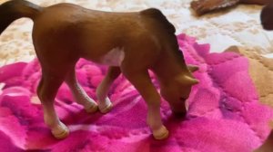 Типы жеребят шляйх (и других фирм)))