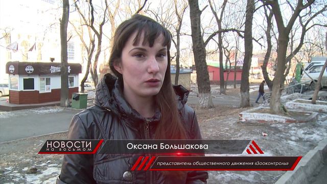Зоозащитники знают, как сократить количество бездомных животных смотреть онлайн