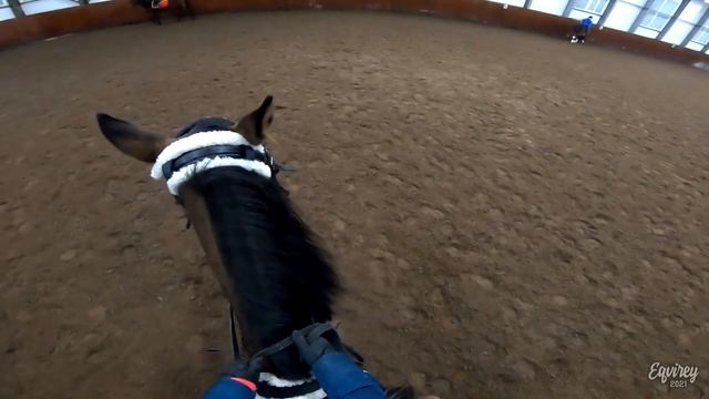 приучаю лошадь к ТРАКТОРУ | КОНКУР | GoPro смотреть онлайн