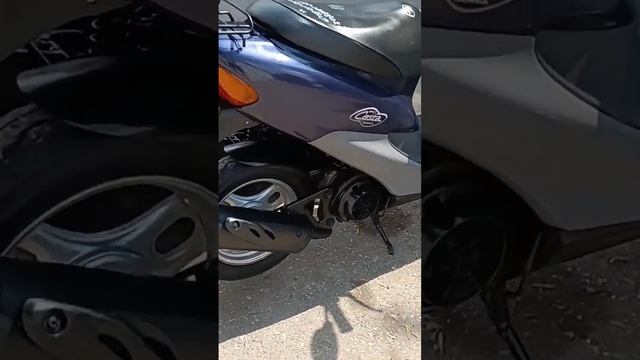 Honda Dio 34 Cesta смотреть онлайн