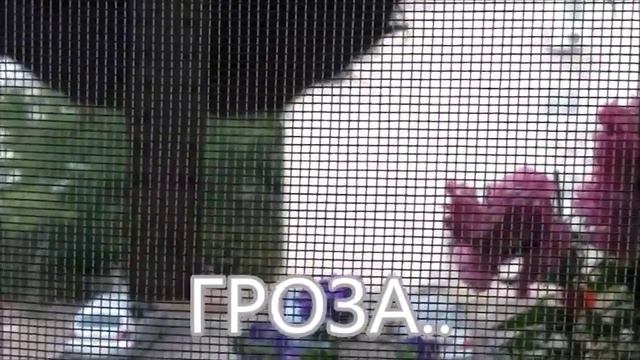 Любителям цветов Цветы на балконе и на окне Гроза смотреть онлайн