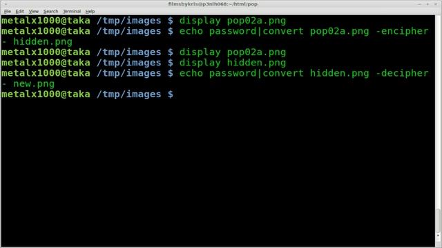 Encrypting Images with ImageMagick BASH Linux смотреть онлайн