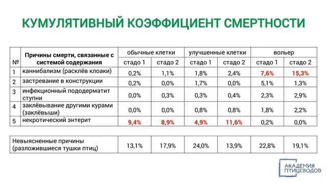 Содержание кур-несушек в обычных клетках, в улучшенных клетках и в вольере, что лучше? смотреть онлайн