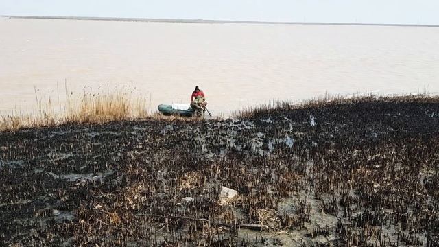 Кирлеутское озеро! Дикие Тюльпаны!!! смотреть онлайн