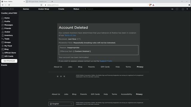 How To Get Banned On Roblox... смотреть онлайн