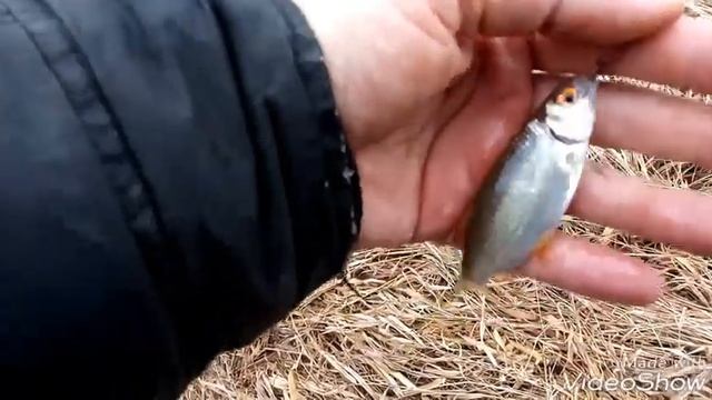 Рыбалка. Речица, рыбы ещё нет. 09.03.2020. смотреть онлайн