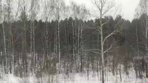 ПОЕЗДКА НА ЭР2К - 980 - ЛАХТА " ЛЫЖНАЯ СТРЕЛА " ПО МАРШРУТУ СПБ ФИН - ОРЕХОВО. 25.02.2023. ЧАСТЬ 1.