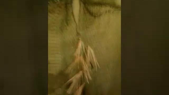 Леший своими руками смотреть онлайн